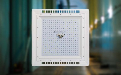 Защо осветителите Хидра Гроут са подходящи за използване, като оранжерийни осветители?